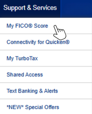 Support and Services Tab