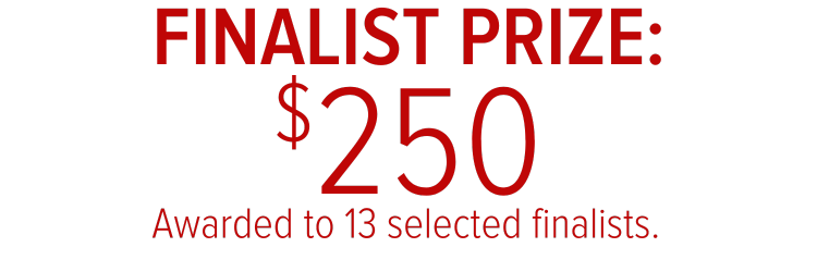Finalist prize $250