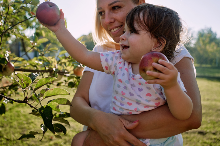 Baby picking an apple.