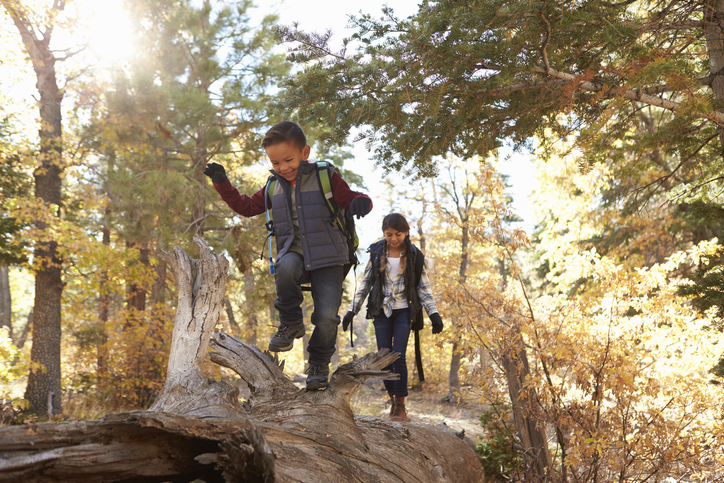 Family hiking in the woods.