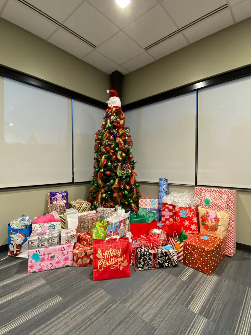 SAFE Christmas donations 2020