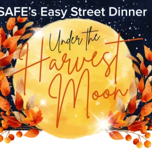 Under the Harvest Moon