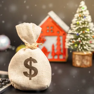 money bag sitting among holiday items