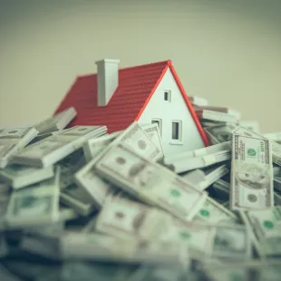 a house with a red roof buried in money