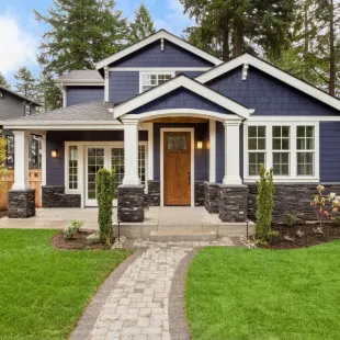 Blue house