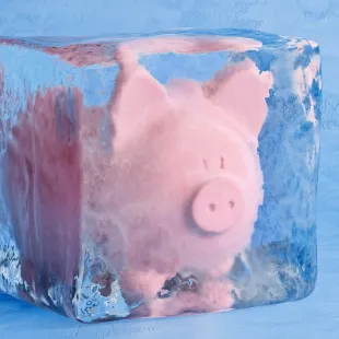 Pink piggy banking frozen in a block of ice.