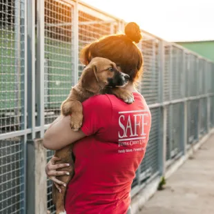 SAFE Volunteer holding puppy at dog shelter