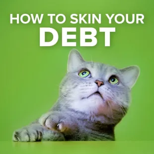 cat looking up at 'How to skin your debt'
