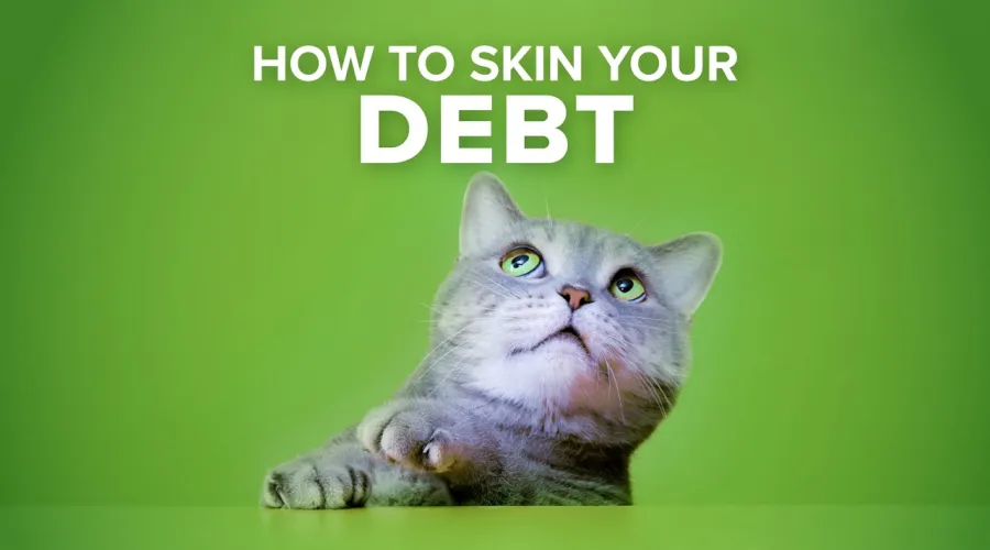cat looking up at 'How to skin your debt'